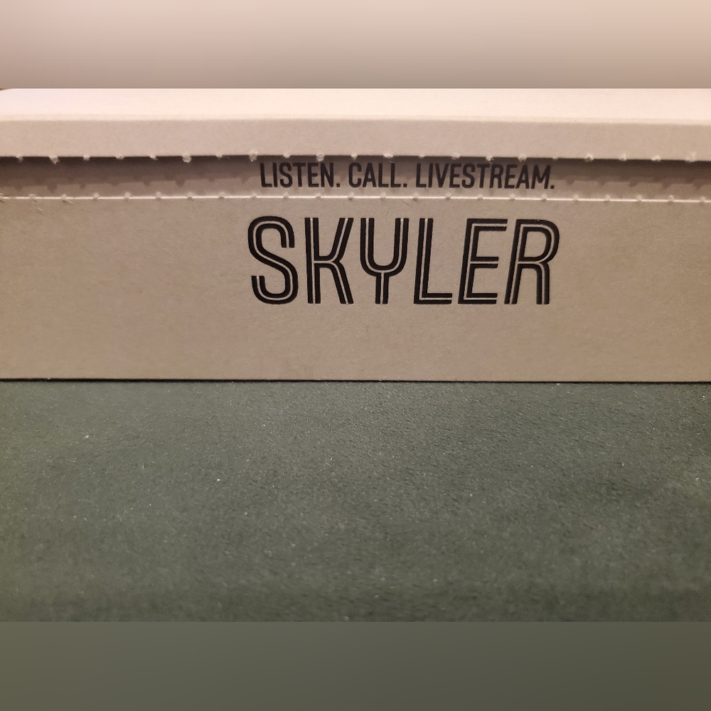 Ray Ban Meta SKYLER